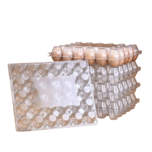 ESTUCHE HUEVO GALLINA 30 CAVIDADES